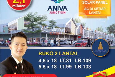 3 ANIVA JUNCTION RUKO-01