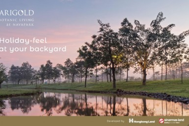 Ebrosur Marigold T6_002