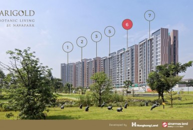 Ebrosur Marigold T6_003