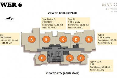 Ebrosur Marigold T6_004