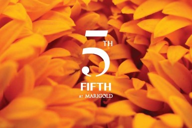 Ebrosur Marigold T5_Page_1
