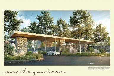 Ebrochure Caelus_Page_08