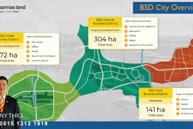 BSD CITY OVERVIEW PORTAL-01