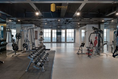 Gym Weight & TRX Zone