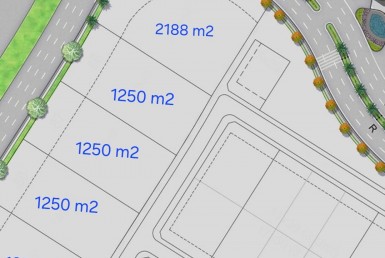 WhatsApp Image 2024-07-27 at 11.15.30