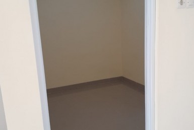1000115217