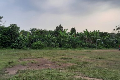 WhatsApp Image 2025-08-25 at 21.08.53