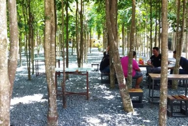 WhatsApp Image 2025-09-12 at 10.36.02