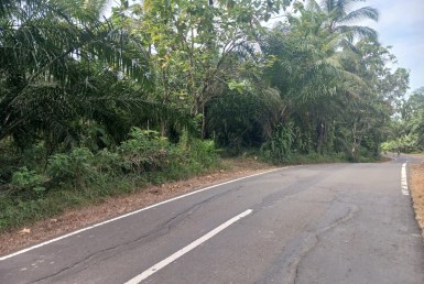 WhatsApp Image 2025-09-28 at 17.31.01