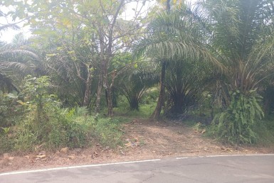 WhatsApp Image 2025-09-28 at 17.31.02